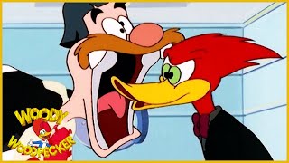 Woody Woodpecker Show  Like Father Unlike Son  1 Hour Compilation  Cartoons For Children [upl. by Frederiksen]