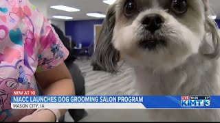 NIACC launches dog grooming salon program [upl. by Fiden220]