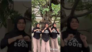 tik tok kk ddd kembar 3 part 77 ditadinadini tiktoklite shorts [upl. by Tnarud]