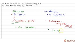 Albuminous seeds are produced in [upl. by Nomzzaj153]