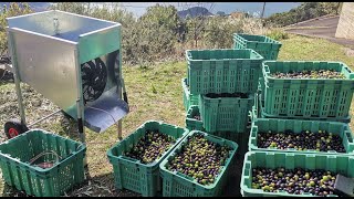 ΑΠΟΦΥΛΛΩΤΗΣ ΕΛΙΑΣ ΚΟΣΚΙΝΟ defogliatore per olive deshojador para aceitunas olive defoliator [upl. by Siubhan]