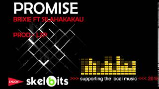 Brixie ft Silahakakau  PROMISE  PNG MUSIC 2018 [upl. by Orgalim]