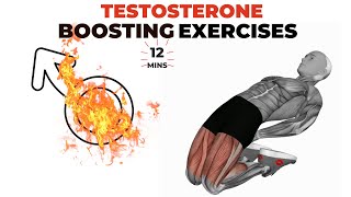 12 Minute Proven Exercises to Boost Testosterone [upl. by Letsyrc]