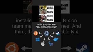 The Best Nix Installer [upl. by Farro696]