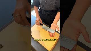 Knife Expert Recommends a Japanese Kitchen Knife [upl. by Howlyn]