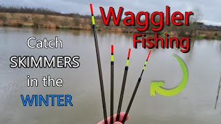 WAGGLER FISHING  Catch more SKIMMERS even in windy conditions [upl. by Enimsay]