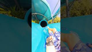 “Underwater Immersion” 360° Water Slide in Orlando • Aquatica Tassie’s Underwater Twist 💦 [upl. by Northey]