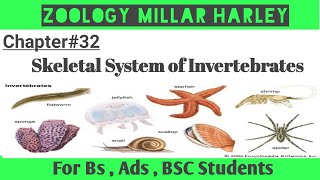 Exoskeleton  Endoskeleton  Skeletal system of invertebrates Millar Harley Chapter 32 Uo Zoology [upl. by Bessie]