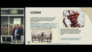 Ice Wine harvest  Masterclass with Inniskillin  Napa Valley Wine Academy [upl. by Revorg]