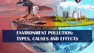 Environment Pollution Types Causes and Effects infographic [upl. by Hazlett]