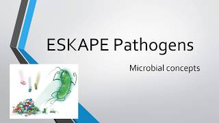 ESKAPE Pathogens [upl. by Halyk]