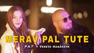 PAT x Vanesa Horakova  Merav Pal Tute Official Video [upl. by Kyrstin839]