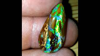 Opalised wood from Koroit queensland [upl. by Nebeur]