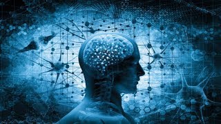 The Human Brain Explained  Neuroscience Full Documentary [upl. by Ennaylil444]