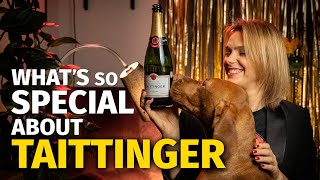 Whats So Special About TAITTINGER Champagne [upl. by Griffith]