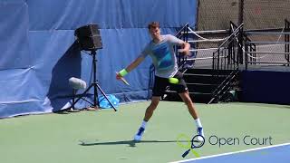 Citi Open 2017 Dimitrov and Thiem on the practice court [upl. by Yerggoeg]