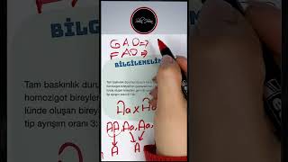 Fenotip ve Genotip Ayrışım Oranı  Bilgilenelim  36 [upl. by Hahsia]