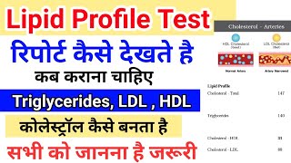 Lipid Profile Test रिपोर्ट कैसे देखते है  Triglycerides LDL  HDL  कोलेस्ट्रॉल कैसे बनता है [upl. by Notliw418]