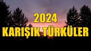 Türk Halk Müziği  Türküler KARIŞIK  2024 türkü türküler türkhalkmüziği [upl. by Nodnas]