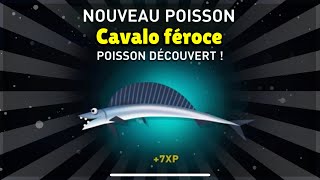 OU TROUVER LE CAVALO FÉROCE SUR CREATURES OF THE DEEP [upl. by Noiek]