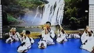 Tang Soo Do beginning exercises part 1 [upl. by Jeanie63]