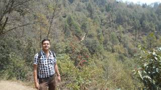 Bhareng to Gorkhey  Trekking from Ribdi Zero Point to Bhareng n Gorkhey  Sikkim West Bengal Border [upl. by Cyma]