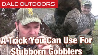 A trick you can use for stubborn gobblers [upl. by Nnylrebma]