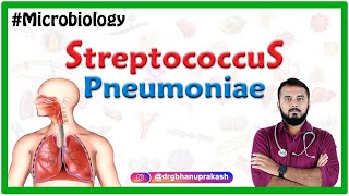 Streptococcus pneumoniae  Bacteriology  Medical Microbiology [upl. by Edas]