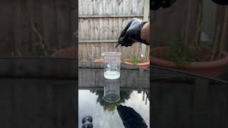 Hydrochloric acid  sodium metal  table salt 🧂 science chemistry experiment [upl. by Villiers]