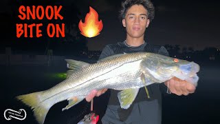 SNOOK AND TARPON SLAY MULLET RUN ACTION POMPANO BEACH FLORIDA [upl. by Faline805]