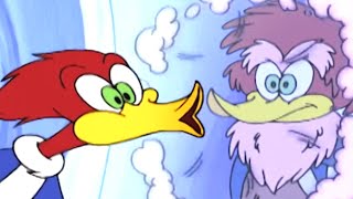 Woody Woodpecker Show  Wild Woodpecker  Full Episode  Videos For Kids [upl. by Aihtnamas]