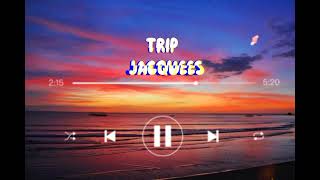 Jacquees  Trip  Lyrics  Trip Trip Tripping on you [upl. by Dirgis]