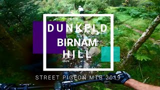 Dunkeld MTB trails  Birnam Hill [upl. by Jermain]