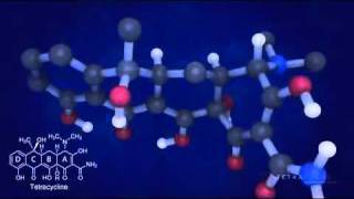 Tetracycline Mode of Action [upl. by Melamie]