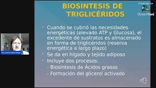 Digestión Absorción y metabolismo de lípidos [upl. by Refinneg]