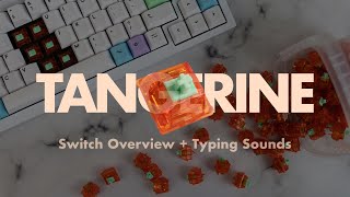 Deliciously Smooth  Tangerine Switch Overview [upl. by Enaasiali942]