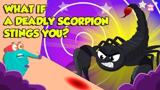 How Does Scorpion Sting  Scorpion Venom Effects  Most Deadliest Scorpions  Dr Binocs Show [upl. by Osi]