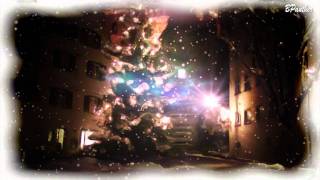 Am Weihnachtsbaum die Lichter brennen  Christmas Music  Weihnachtsmusik [upl. by Rossi488]