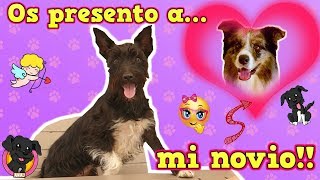 ¡TENGO NOVIO ❤️ El PERRO Youtuber de REVOLTOSA RECOLETAS Lana❤️ [upl. by Nairdad]