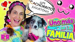 UNO MÁS en la FAMILA 🐶 TAG de la MASCOTA NUEVO MIEMBRO revoltoso 🐕 Perritos cachorros YOUTUBERS [upl. by Isyak]