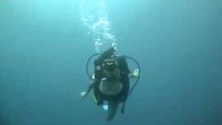 Buceo en Baru 360p [upl. by Nahgaem]