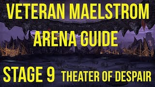 ESO Maelstrom Arena Guide  Stage 9 [upl. by Yarled222]