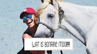 MET PAARDEN ZWEMMEN OP BONAIRE  Laura Ponticorvo  VLOG 445 [upl. by Marijo]