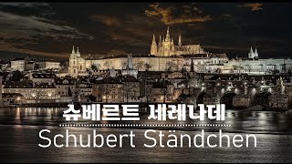 슈베르트  세레나데  Schubert Serenade D957 No4 첼로 원지혜 [upl. by Yentuoc]