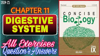 Digestive System  Class 9 Biology Chapter 11  All Answers  202425 [upl. by Normand]