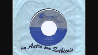 Les Copains 1965  Le Chat  GARAGE FUZZ Beat Canada Quebec [upl. by Remoh714]