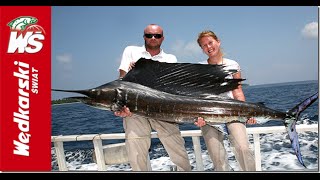 Rekordowa żaglica złowiona przez kobietę  Sailfish in the Maldives [upl. by Arlo515]