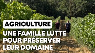 Une famille se bat pour sauver son exploitation agricole [upl. by Ofelia625]