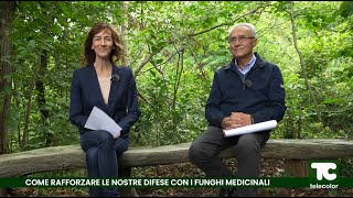 Invecchiamento e prevenzione come rafforzare le nostre difese con i funghi medicinali  28102024 [upl. by Manoff]