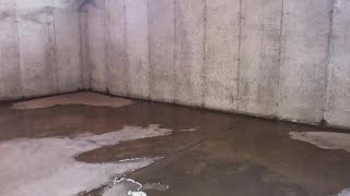 Everdry Waterproofing fixes wet moldy amp humid basements [upl. by Beore]